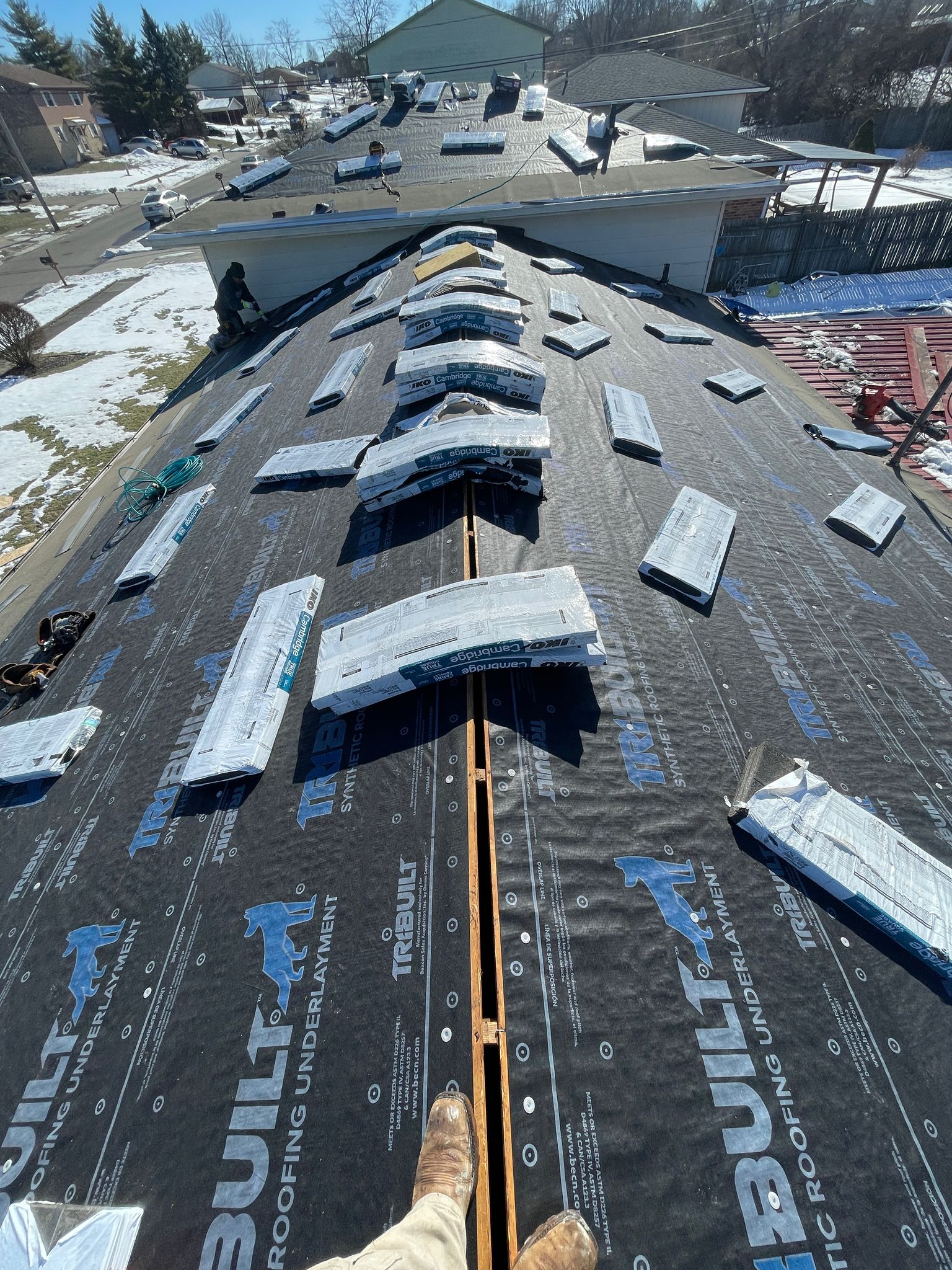 WhatsApp Image 2025-02-19 at 11.24.58 AM