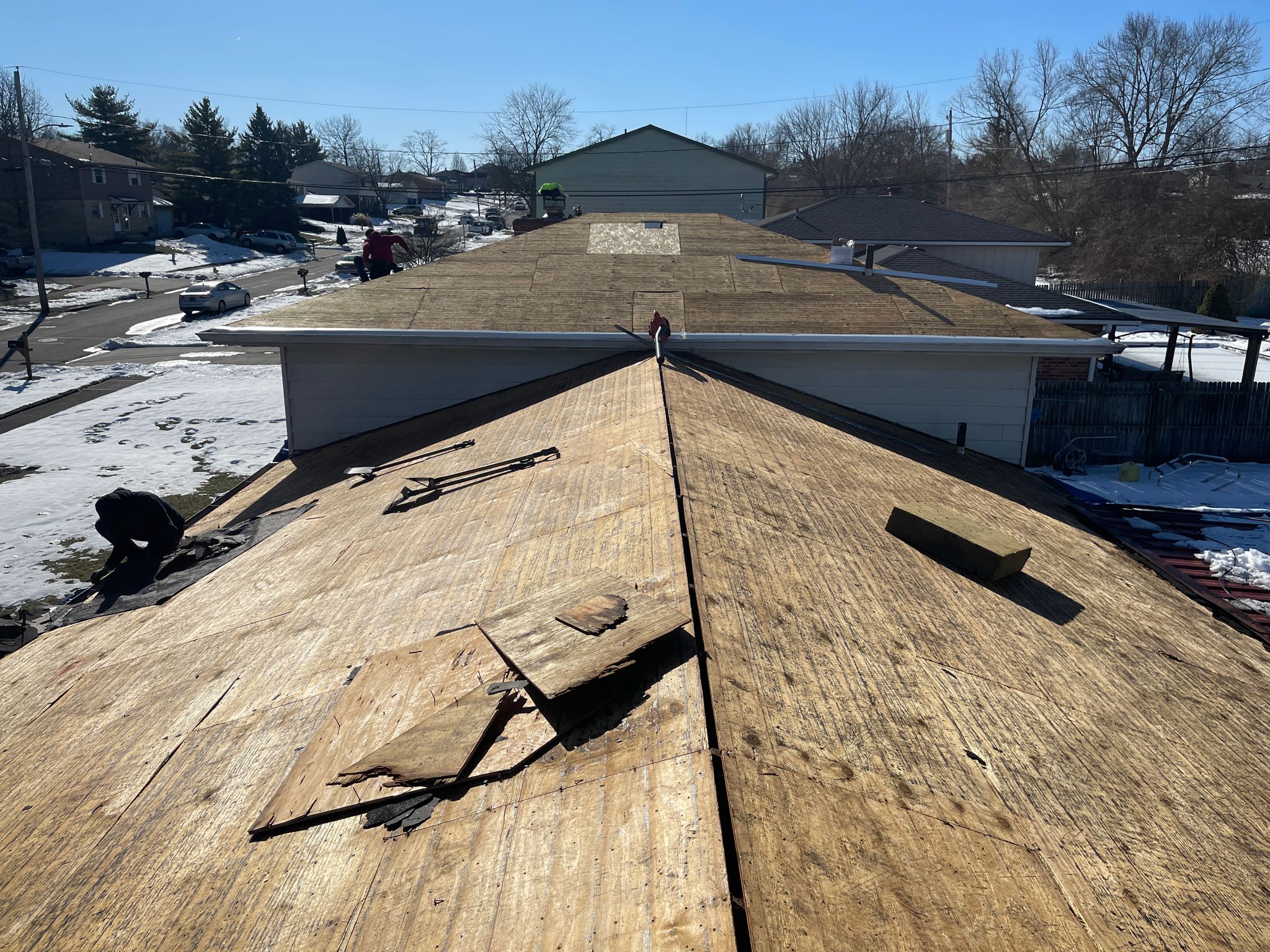 WhatsApp Image 2025-02-19 at 11.24.59 AM