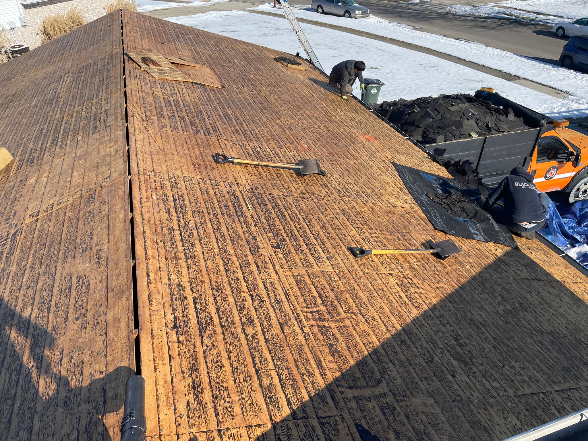 WhatsApp Image 2025-02-19 at 11.25.00 AM