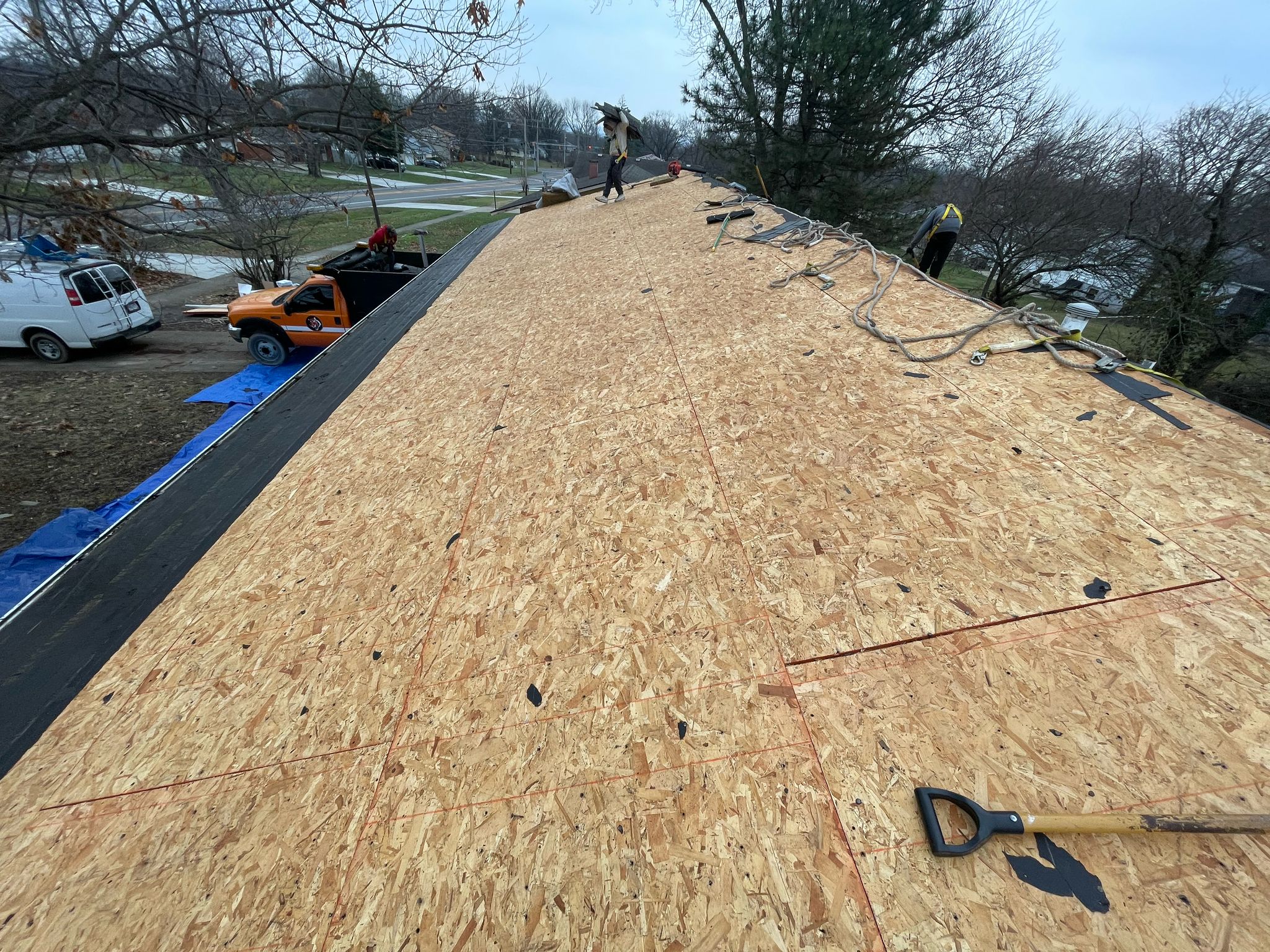 WhatsApp Image 2025-02-19 at 11.25.09 AM (1)