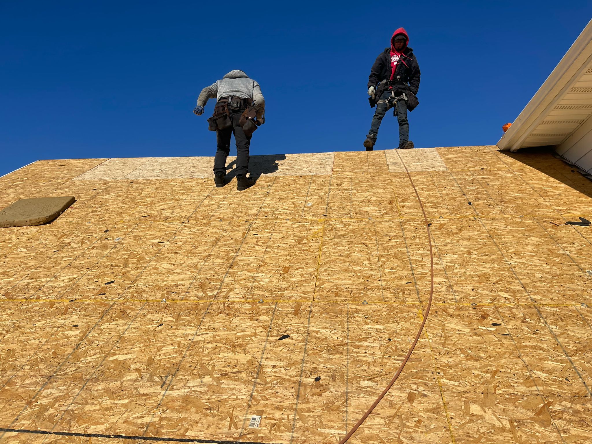 WhatsApp Image 2025-02-19 at 11.25.11 AM (2)