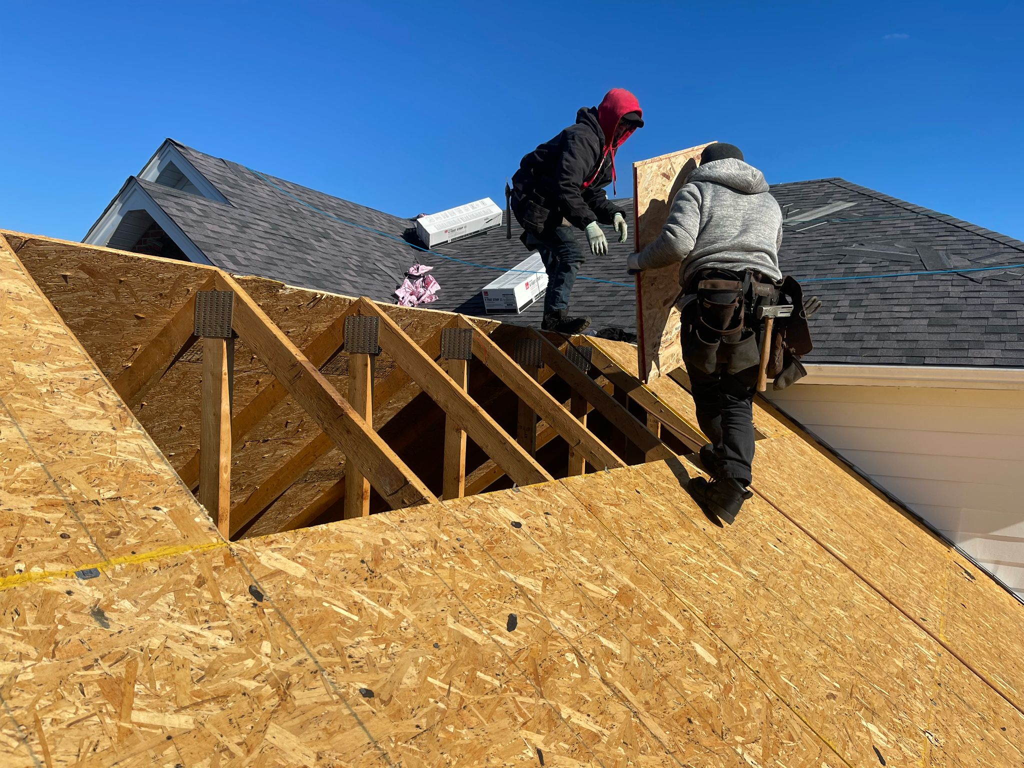 WhatsApp Image 2025-02-19 at 11.25.12 AM