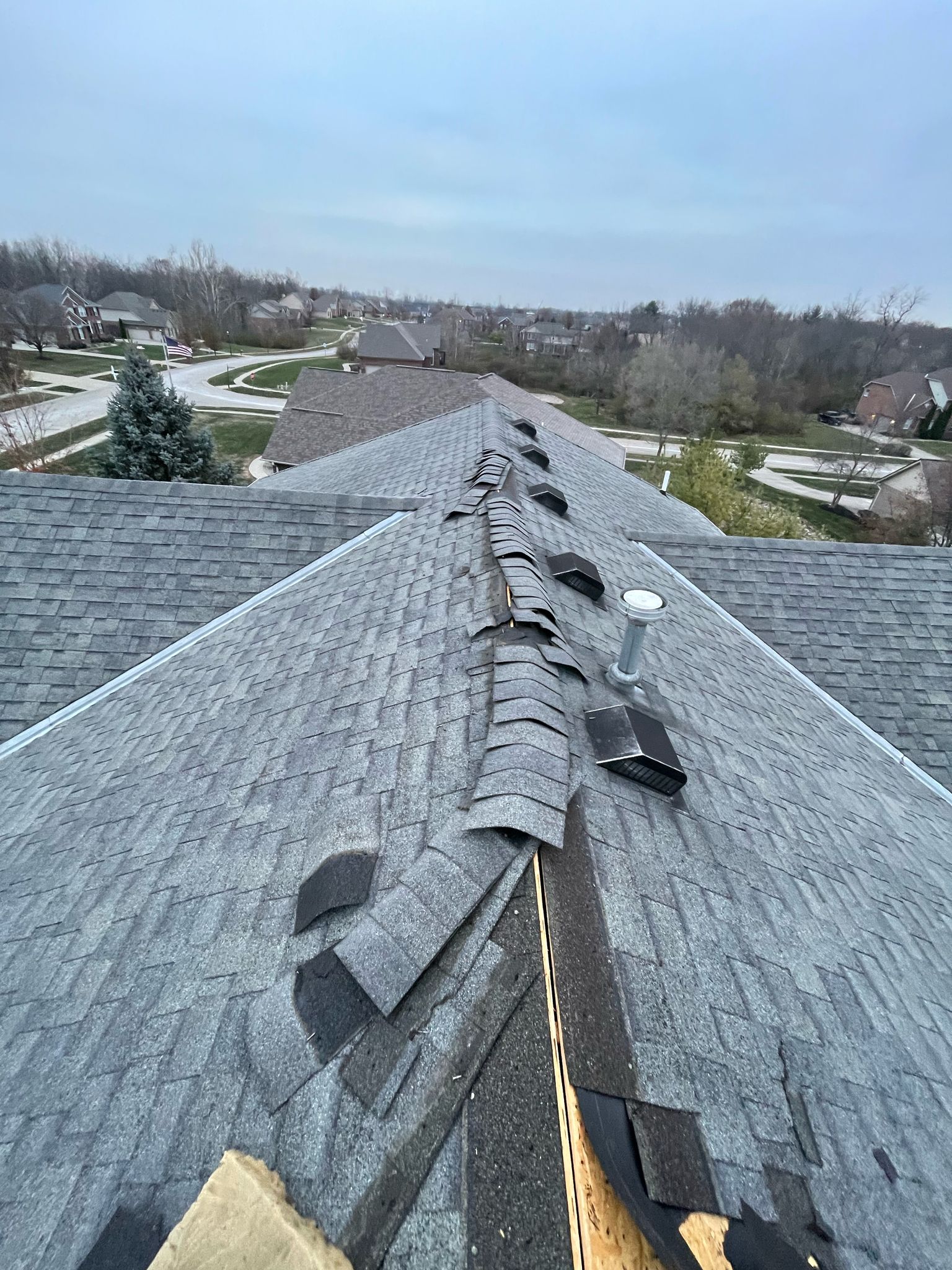 WhatsApp Image 2025-02-19 at 11.25.14 AM