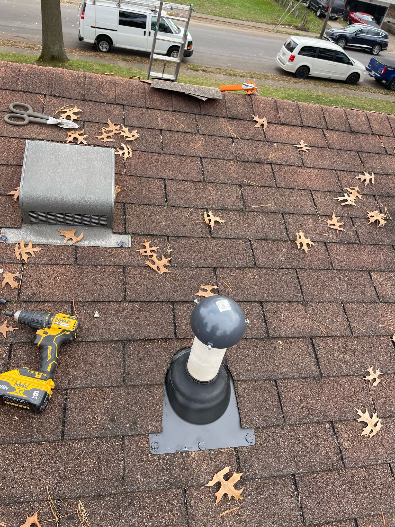 WhatsApp Image 2025-02-19 at 11.25.17 AM