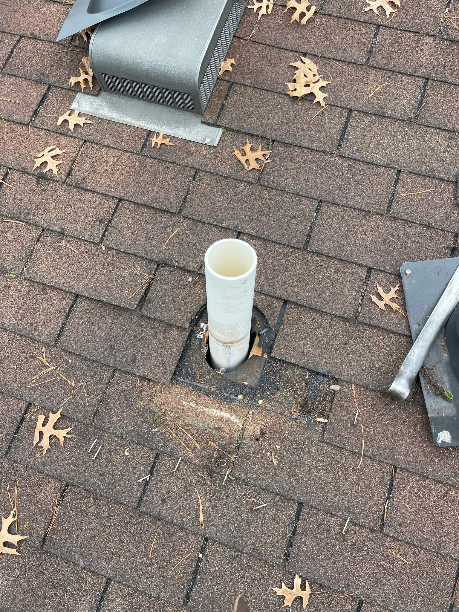 WhatsApp Image 2025-02-19 at 11.25.21 AM